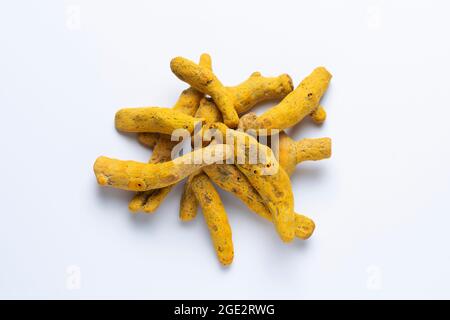 Curcuma, Curcuma longa, Satara, Maharashtra, Inde Banque D'Images