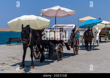 Chevaux et calèches sur le front de mer à côté de l'ancienne mosquée de Chania, Crète, Grèce Banque D'Images