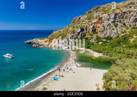 Belle plage de sable avec de l'eau bleu clair et une forêt naturelle de palmiers (Preveli, Crète) Banque D'Images