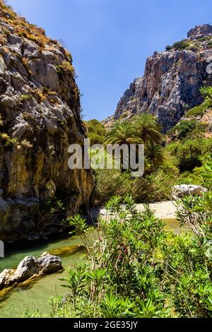 Forêt de palmiers luxuriante et petite rivière menant à une plage de sable (Preveli, Crète, Grèce) Banque D'Images