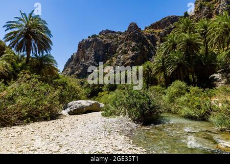 Forêt de palmiers luxuriante et petite rivière menant à une plage de sable (Preveli, Crète, Grèce) Banque D'Images