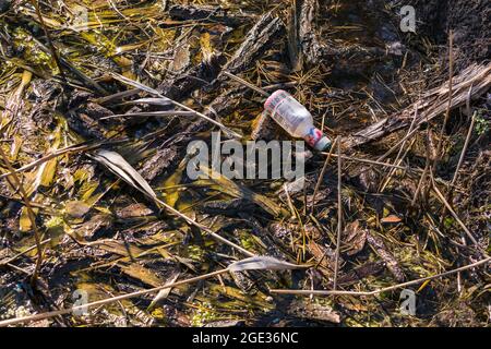 Une bouteille en plastique pollue un ruisseau dans une réserve naturelle Banque D'Images