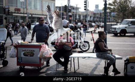 SAN FRANCISCO, 16 août 2021 (Xinhua) -- UN mouette vole dans une rue à San Francisco, aux États-Unis, le 15 août 2021. Le maire de San Francisco, London Breed, a annoncé jeudi dernier que la ville exigera des entreprises de certains secteurs intérieurs à contacts élevés qu'elles obtiennent une preuve de vaccination de leurs clients et employés pour qu'ils puissent se rendre à l'intérieur de ces installations. L'obligation de l'ordre de santé pour la preuve de la vaccination complète des clients des milieux publics intérieurs, y compris les bars, restaurants, clubs et salles de sport, entre en vigueur le 20 août. Pour préserver les travaux tout en laissant du temps à la conformité Banque D'Images