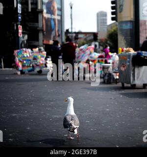 (210816) -- SAN FRANCISCO, le 16 août 2021 (Xinhua) -- UN moulinet se promène dans une rue à San Francisco, aux États-Unis, le 15 août 2021. Le maire de San Francisco, London Breed, a annoncé jeudi dernier que la ville exigera des entreprises de certains secteurs intérieurs à contacts élevés qu'elles obtiennent une preuve de vaccination de leurs clients et employés pour qu'ils puissent se rendre à l'intérieur de ces installations. L'obligation de l'ordre de santé pour la preuve de la vaccination complète des clients des milieux publics intérieurs, y compris les bars, restaurants, clubs et salles de sport, entre en vigueur le 20 août. Pour préserver les travaux tout en laissant du temps pour la conformité, Banque D'Images