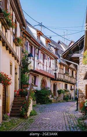 Eguisheim, Alsace, France, maisons traditionnelles colorées à colombages dans la vieille ville d'Eguisheim sur la route des vins d'Alsace, France. Rues colorées de la vieille ville Banque D'Images