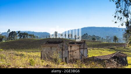 Prise de vue en grand angle d'un paysage rural dans le sud du Brésil par une journée ensoleillée Banque D'Images