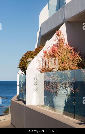 Sydney, Australie. Lundi 16 août 2021. Appartements de luxe donnant sur Bondi Beach et présentant des plantes exquises sur le balcon. Les restrictions COVID-19 ont été renforcées dans toute la Nouvelle-Galles du Sud. À partir de minuit le lundi 16 août, la règle de voyage de 10 km a été réduite à 5 km. Cela signifie que les résidents ne peuvent parcourir que 5 km de leur maison pour faire de l'exercice ou faire du shopping. Crédit : Paul Lovelace/Alamy Live News Banque D'Images