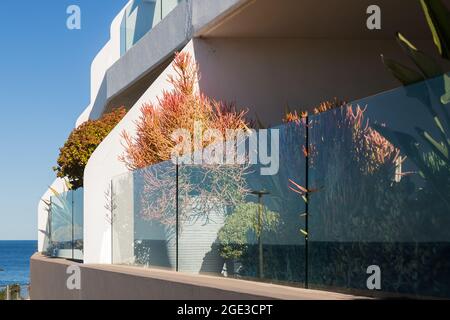 Sydney, Australie. Lundi 16 août 2021. Appartements de luxe donnant sur Bondi Beach et présentant des plantes exquises sur le balcon. Les restrictions COVID-19 ont été renforcées dans toute la Nouvelle-Galles du Sud. À partir de minuit le lundi 16 août, la règle de voyage de 10 km a été réduite à 5 km. Cela signifie que les résidents ne peuvent parcourir que 5 km de leur maison pour faire de l'exercice ou faire du shopping. Crédit : Paul Lovelace/Alamy Live News Banque D'Images