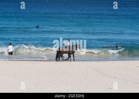 Sydney, Australie. Lundi 16 août 2021. La patrouille de police montée Bondi Beach, car les restrictions COVID-19 ont été renforcées dans toute la Nouvelle-Galles du Sud. À partir de minuit le lundi 16 août, la règle de voyage de 10 km a été réduite à 5 km. Cela signifie que les résidents ne peuvent parcourir que 5 km de leur maison pour faire de l'exercice ou faire du shopping. Crédit : Paul Lovelace/Alamy Live News Banque D'Images