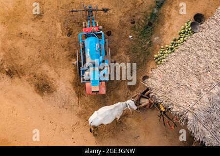 Une petite ferme de bétail, des machines agricoles et une cour de triage dans le Vieux Bagan au Myanmar comme vu du ballon Banque D'Images