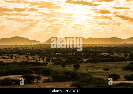 Le lever du soleil sur les champs d'arbres de Bagan au Myanmar, vu d'un ballon d'air chaud Banque D'Images