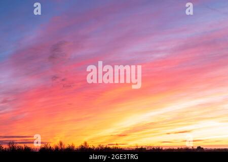 Ciel coloré à l'aube, première lumière lors d'une journée d'hiver dans le Kent. Horizon plat bas dans le cadre avec affichage des couleurs dans le ciel au-dessus avant le lever du soleil. Banque D'Images