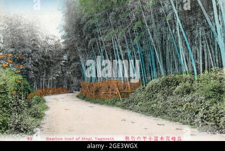 Ancienne carte postale japonaise de couleur main, vers 1910 de la route du bambou à Mogi, Nagasaki. Route sinueuse menant à travers une bosquet de bambou. Banque D'Images