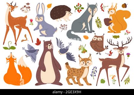 Animaux et oiseaux sauvages de la forêt, animal de bois mignon. Cerf, renard, ours, écureuil, hérisson, loup, lapin. Feuilles de forêt, baies vecteur ensemble. Plantes et personnages drôles, flore et faune Illustration de Vecteur