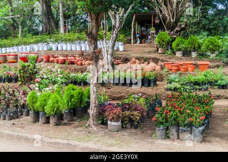 Centre de jardin dans le village de Catarina près du lac Laguna de Apoyo, Nicaragua Banque D'Images