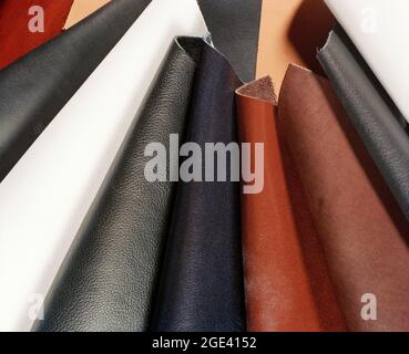 Cuir, variété d'échantillons de cuir, différentes couleurs et textures, vue d'en haut Banque D'Images