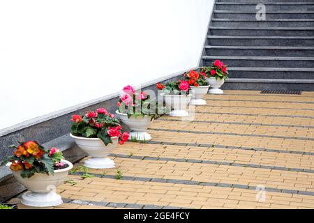 pots de fleurs décoratifs en plastique avec fleurs près du mur de la façade du bâtiment avec trottoir en carreaux de pierre et escalier en granit près d'une arrière-cour Banque D'Images