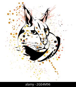 Image vectorielle d'un Caracal dans un cercle . Animal géométrique. Logotype. Emblème. Illustration de Vecteur