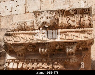 Détail, sculpture de lion, Grande Cour, Héliopolis, vestiges romains, Baalbek, Liban, Moyen-Orient Banque D'Images