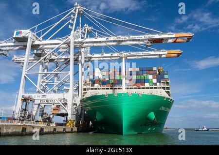 Le Havre, France - le 29 juillet 2021 : Montmartre est un conteneur ultra-grand et moderne du grand transporteur français CMA CGM dans le port de L Banque D'Images