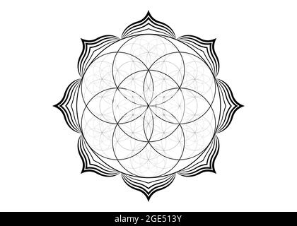 Graine fleur de vie Lotus icône, yantra mandala géométrie sacrée, tatouage symbole de l'harmonie et de l'équilibre. Talisman mystique, vecteur de lignes noires isolé Illustration de Vecteur