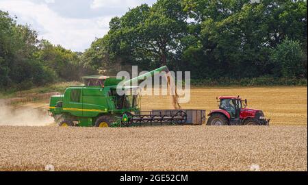 Moissonneuse-batteuse John Deere CTS 9870i en action récolte de blé avec un tracteur Red case 130 tirant la remorque de récolte Banque D'Images