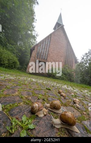 Bernharduskapelle et escargots à Baden-Baden, Allemagne Banque D'Images