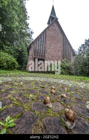 Bernharduskapelle et escargots à Baden-Baden, Allemagne Banque D'Images