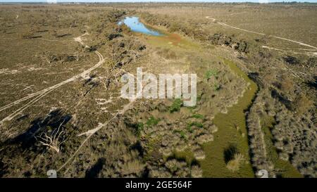 Fletchers Creek est situé à environ mi-chemin entre Wentworth et Curlwaa. Le ruisseau est en déclin lent depuis de nombreuses années en raison de hi insuficent Banque D'Images