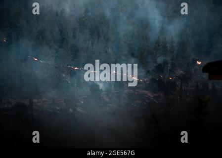 Jérusalem, Israël. 16 août 2021. Les forces de lutte contre les incendies luttent pour éteindre un feu de forêt massif lors de son deuxième jour de brûlage, les pentes occidentales des montagnes de Jérusalem. Village de GIV'at Ye'arim/Shoresh. Jérusalem-Ouest, 16 août 2021. (Photo de Matan Golan/Sipa USA) crédit: SIPA USA/Alay Live News Banque D'Images