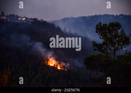 Jérusalem, Israël. 16 août 2021. Les forces de lutte contre les incendies luttent pour éteindre un feu de forêt massif lors de son deuxième jour de brûlage, les pentes occidentales des montagnes de Jérusalem. Village de GIV'at Ye'arim/Shoresh. Jérusalem-Ouest, 16 août 2021. (Photo de Matan Golan/Sipa USA) crédit: SIPA USA/Alay Live News Banque D'Images