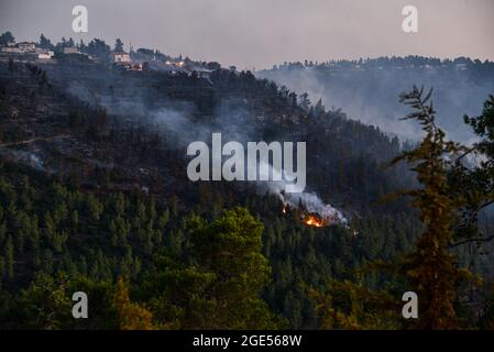 Jérusalem, Israël. 16 août 2021. Les forces de lutte contre les incendies luttent pour éteindre un feu de forêt massif lors de son deuxième jour de brûlage, les pentes occidentales des montagnes de Jérusalem. Village de GIV'at Ye'arim/Shoresh. Jérusalem-Ouest, 16 août 2021. (Photo de Matan Golan/Sipa USA) crédit: SIPA USA/Alay Live News Banque D'Images