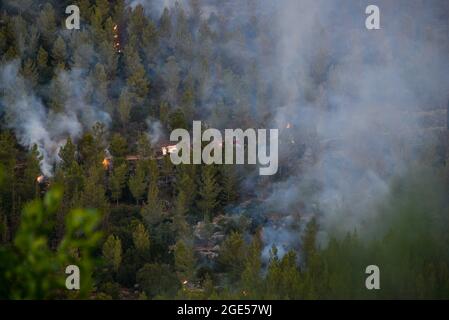 GIV’at Ye’arim / Shoresh. Jérusalem-Ouest, 16 août 2021. Les forces de lutte contre les incendies luttent pour éteindre un feu de forêt massif le deuxième jour de sa combustion, les pentes occidentales des montagnes de Jérusalem. Village de GIV’at Ye’arim / Shoresh. Jérusalem-Ouest, 16 août 2021. (Photo de Matan Golan/Alay Live News) crédit: Matan Golan/Alay Live News Banque D'Images
