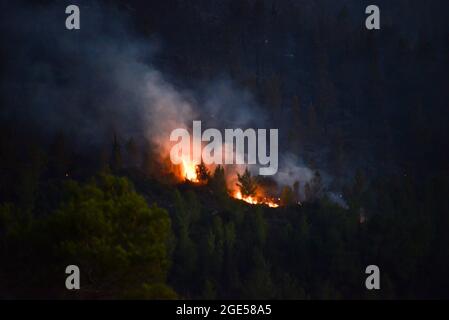 GIV’at Ye’arim / Shoresh. Jérusalem-Ouest, 16 août 2021. Les forces de lutte contre les incendies luttent pour éteindre un feu de forêt massif le deuxième jour de sa combustion, les pentes occidentales des montagnes de Jérusalem. Village de GIV’at Ye’arim / Shoresh. Jérusalem-Ouest, 16 août 2021. (Photo de Matan Golan/Alay Live News) crédit: Matan Golan/Alay Live News Banque D'Images