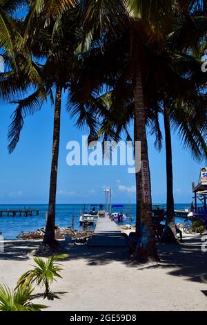 Un quai entre deux palmiers par une journée ensoleillée à Caye Caulker, Belize Banque D'Images