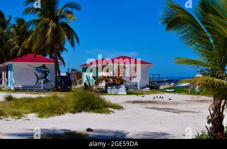 Bâtiments colorés pour vendeurs sur la plage de Caye Caulker, Belize Banque D'Images