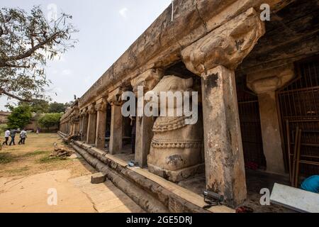 Raja Raja Chola Old Nandi statue dans le temple de Brihadeeswara, Thanjavur Banque D'Images