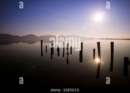 Sur les rives du lac Massaciuccoli à Torre Del Lago Puccini Italie Toscane Banque D'Images