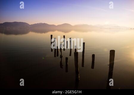 Sur les rives du lac Massaciuccoli à Torre Del Lago Puccini Italie Toscane Banque D'Images