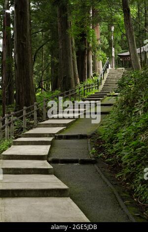 Nagano, Japon, 2021-12-08 , marches pour le sanctuaire de Togakushi. Banque D'Images