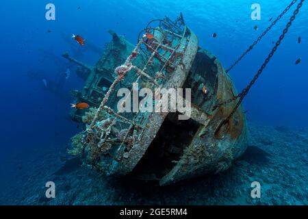 Cedar Pride, Stern, épave, épave, Mer Rouge, Aqaba, Jordanie Banque D'Images