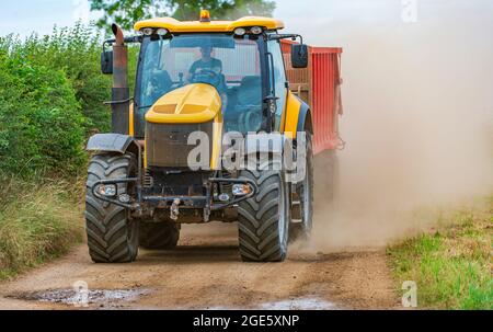 Un tracteur jaune tractant une remorque qui roule le long d'une étroite chenille de ferme carting du maïs au moment de la récolte et jette un nuage de poussière derrière lui Banque D'Images