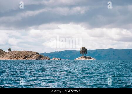 Arbre solitaire sur le cap rocheux d'Isla de la Luna (île de la Lune) au lac Titicaca en Bolivie Banque D'Images