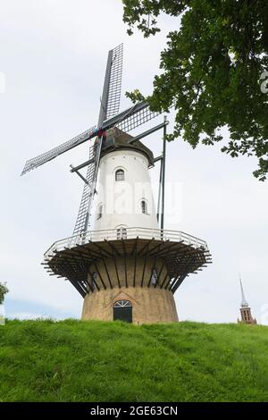 Moulin 'de witte juffer' à IJzendijke, aux pays-Bas Banque D'Images