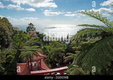 Vue sur la baie de Funchal depuis le jardin chinois, le jardin tropical, le Palais de Monte, Funchal, Madère, Portugal, Europe Banque D'Images