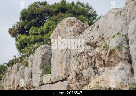 Vue rapprochée depuis le dessous de l'ancien mur de pierre sur la colline de l'Acropole à Athènes, Grèce. Herbe verte et arbre sous pierres. Banque D'Images