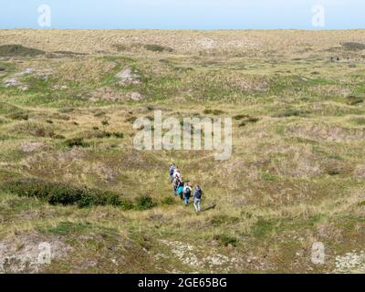 Groupe de marcheurs randonnée dans les dunes de la réserve naturelle de l'île de Frise occidentale Vlieland, Frise, pays-Bas Banque D'Images