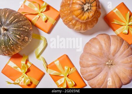 Boîte cadeau orange et citrouille blanche. Cadeau de Thanksgiving et citrouille fraîchement récoltée sur fond blanc Banque D'Images