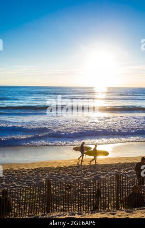 Arcachon (sud-ouest de la France) : deux surfeurs avec leur planche de surf sur la plage, à la lumière du soir, au coucher du soleil Banque D'Images