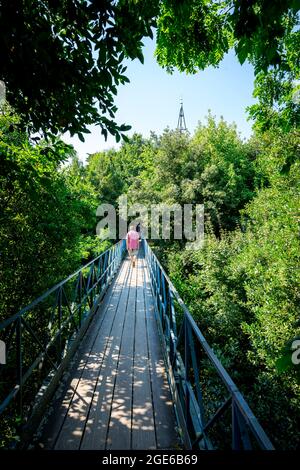 Arcachon (sud-ouest de la France): Homme vu de l'arrière marchant sur la passerelle "passerelle Saint Paul" parmi les arbres, passerelle piétonne qui mène t Banque D'Images